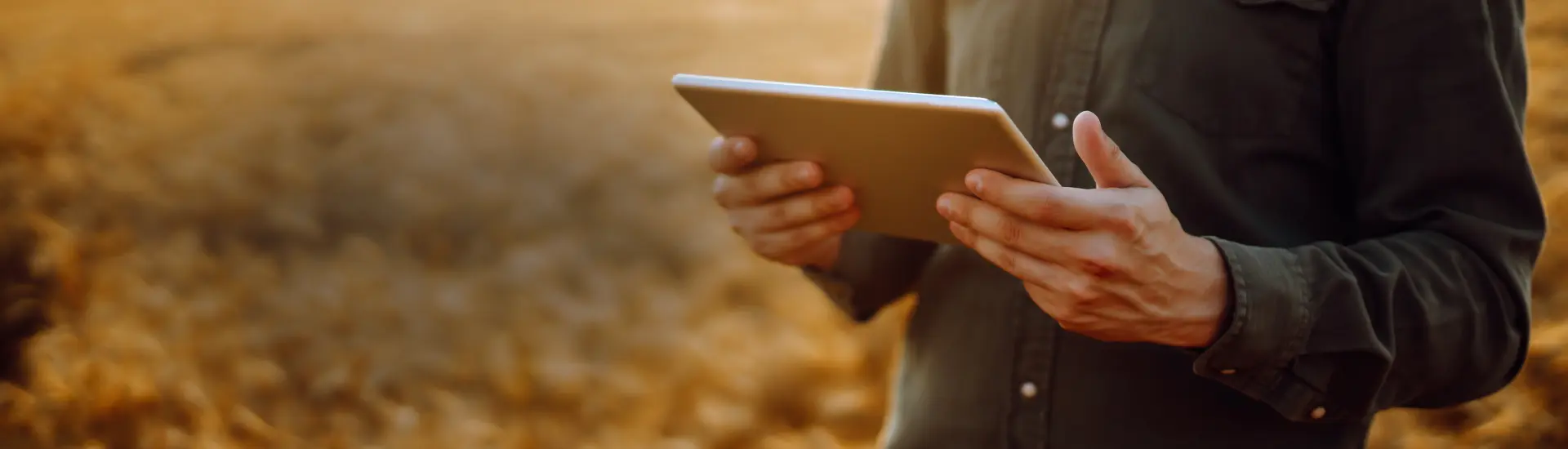 Imagem de pessoa interagindo com tablet, ao fundo está o campo.